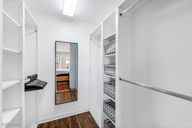 spacious closet featuring dark hardwood / wood-style floors