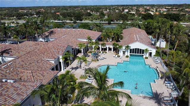 view of swimming pool featuring a patio area