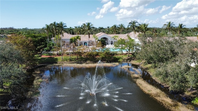 view of water feature