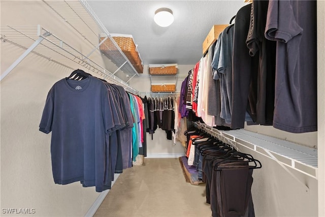 view of walk in closet