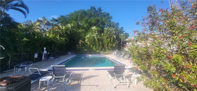 view of swimming pool featuring a patio area