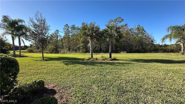 view of community with a lawn