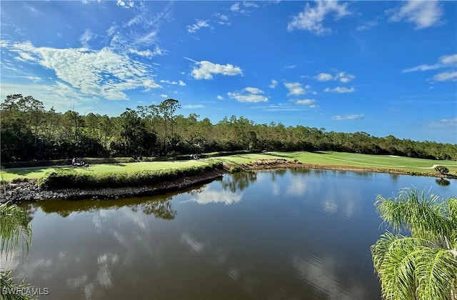 property view of water