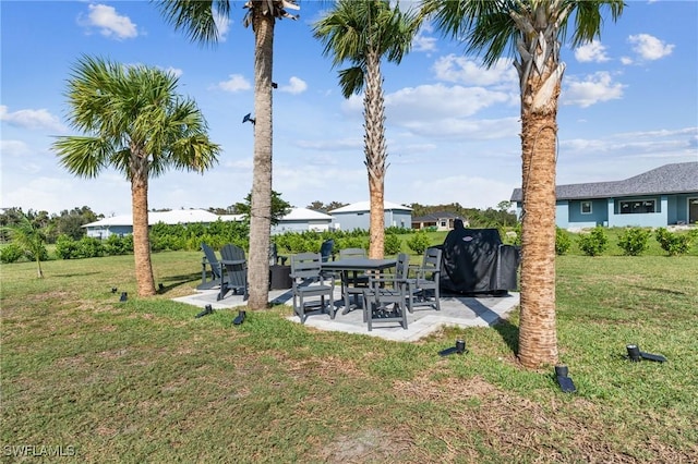 view of yard featuring a patio area