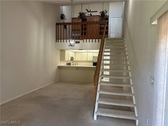 stairway with carpet and sink