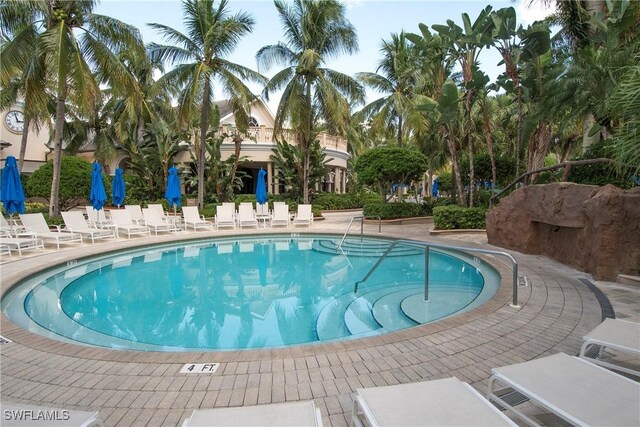 view of pool featuring a patio area