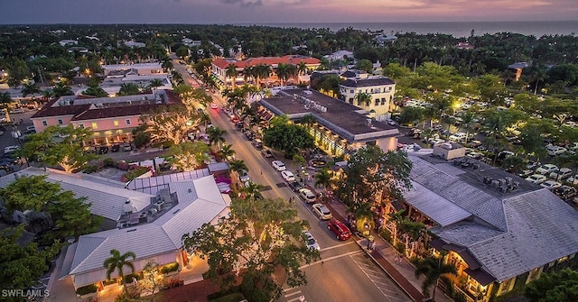 bird's eye view