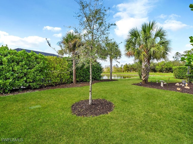 view of yard featuring a water view