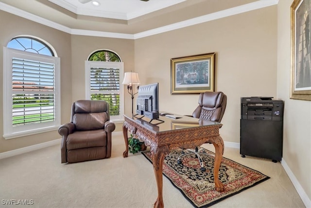 carpeted office with crown molding