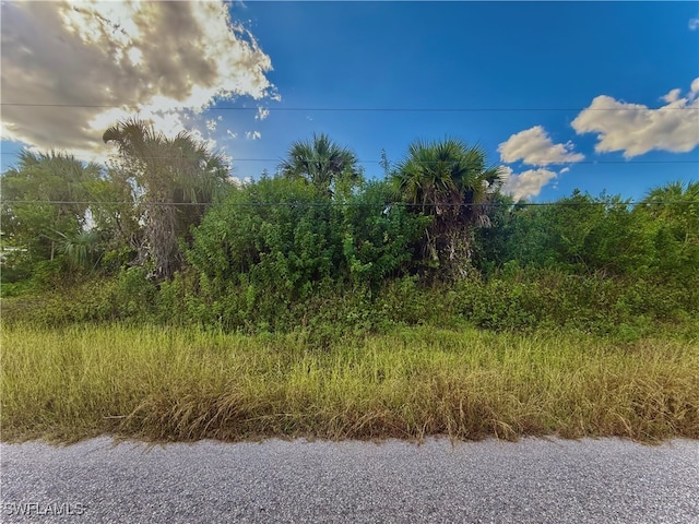 482 Labree Ave S, Lehigh Acres FL, 33974 land for sale