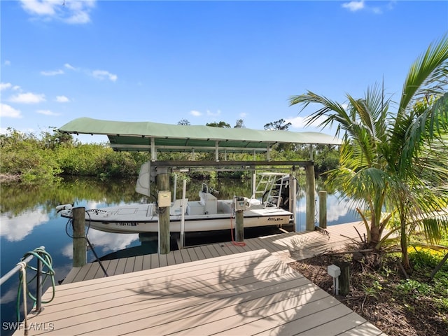 dock area with a water view