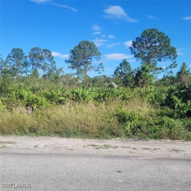 Listing photo 2 for 1020 Greenwood Ave, Lehigh Acres FL 33972