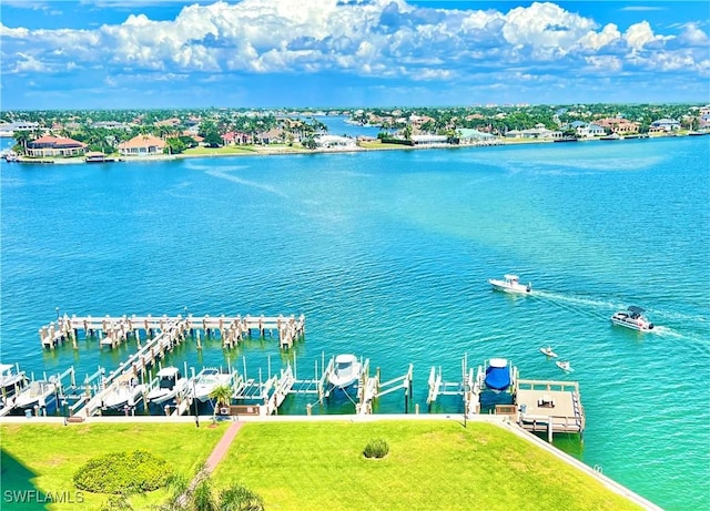 aerial view with a water view