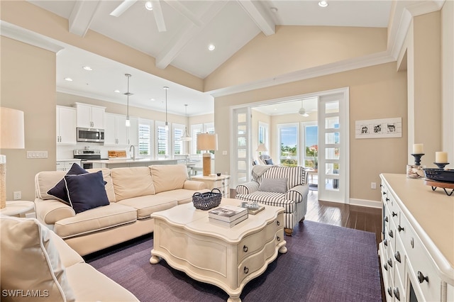 living room with dark hardwood / wood-style flooring, high vaulted ceiling, beamed ceiling, and a wealth of natural light