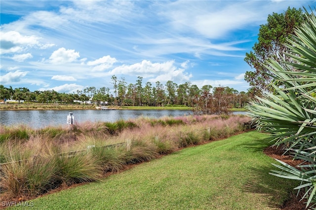 property view of water