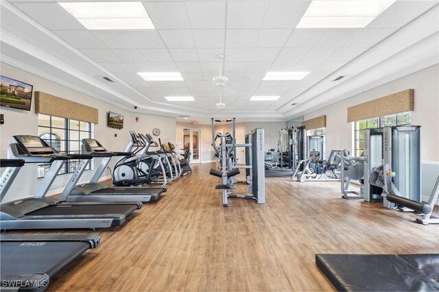 workout area with a paneled ceiling and hardwood / wood-style flooring