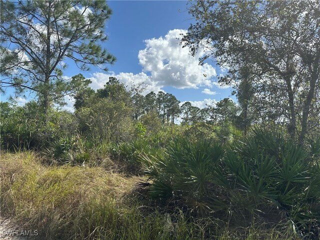 7825 1st Ter, Labelle FL, 33935 land for sale