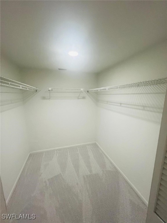 spacious closet featuring light colored carpet