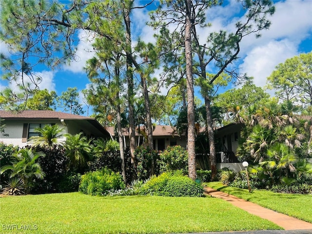 view of front of house featuring a front yard