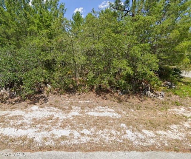 3325 Braniff Rd, Lake Placid FL, 33852 land for sale