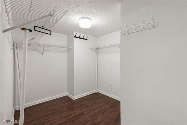 spacious closet with dark wood-type flooring