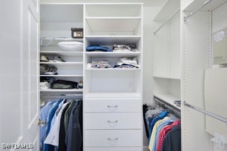 view of spacious closet