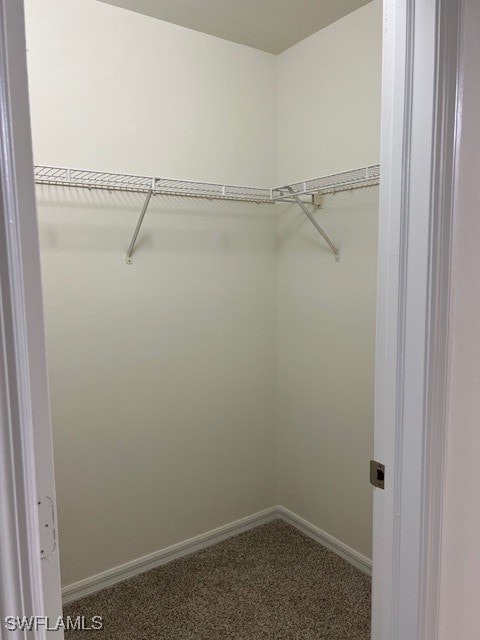 spacious closet with carpet