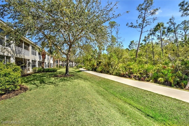 view of community featuring a yard