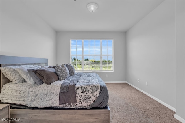 bedroom with carpet floors