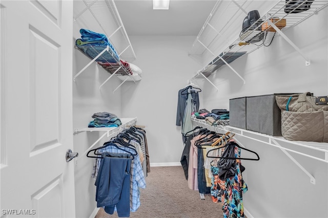 walk in closet with carpet