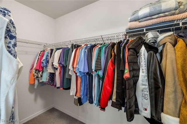 spacious closet with carpet