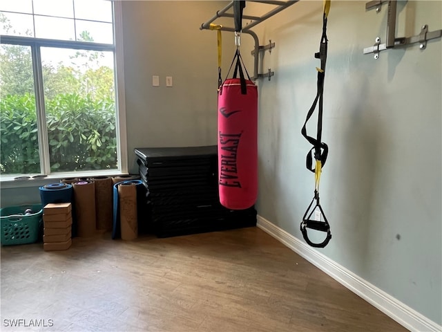 miscellaneous room with wood-type flooring