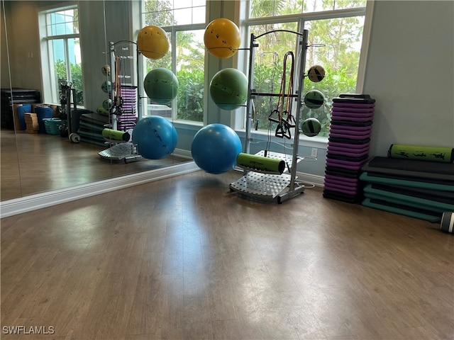 gym with hardwood / wood-style floors and a healthy amount of sunlight