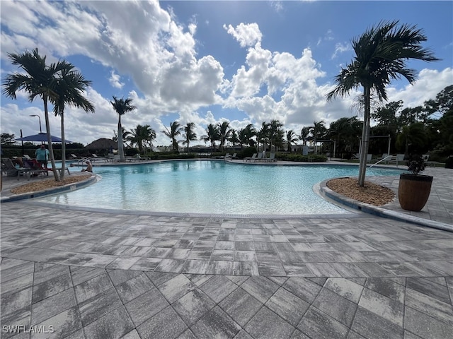 view of swimming pool