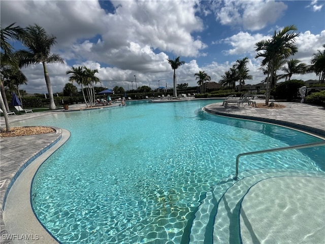 view of pool featuring a patio