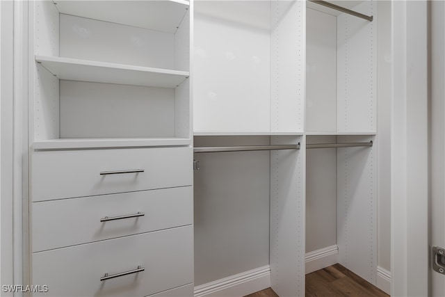 walk in closet featuring dark wood-type flooring