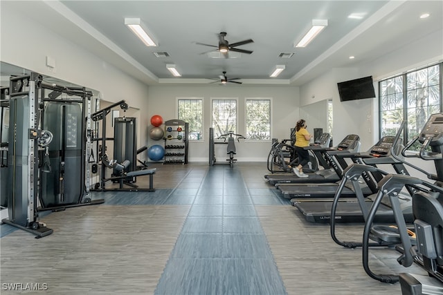 workout area featuring ceiling fan and a healthy amount of sunlight