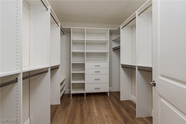 walk in closet featuring dark wood-type flooring