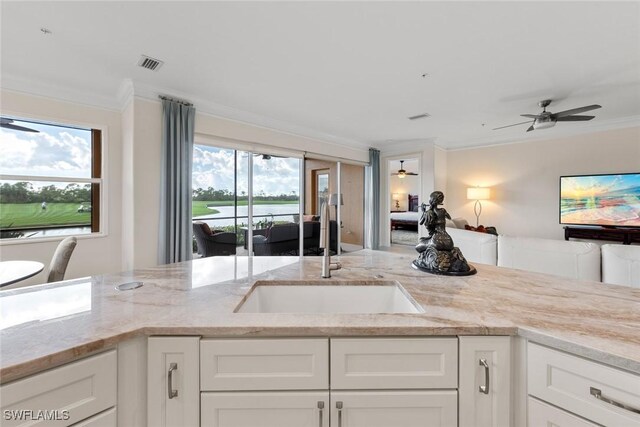 kitchen featuring white cabinetry, light stone countertops, sink, and ornamental molding