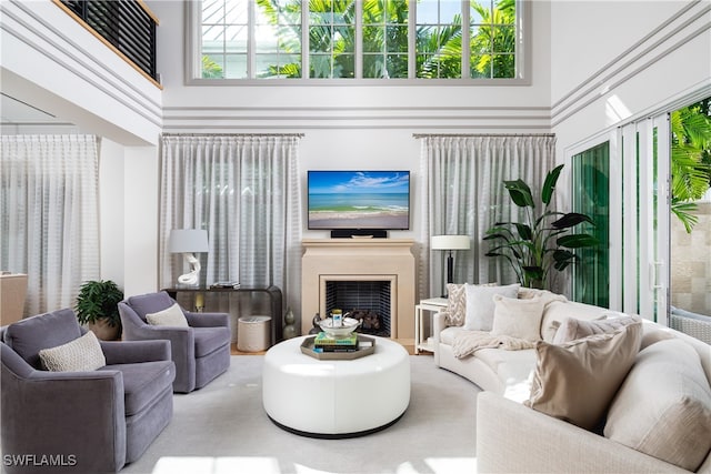 living room featuring a towering ceiling