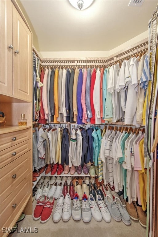 walk in closet with carpet flooring