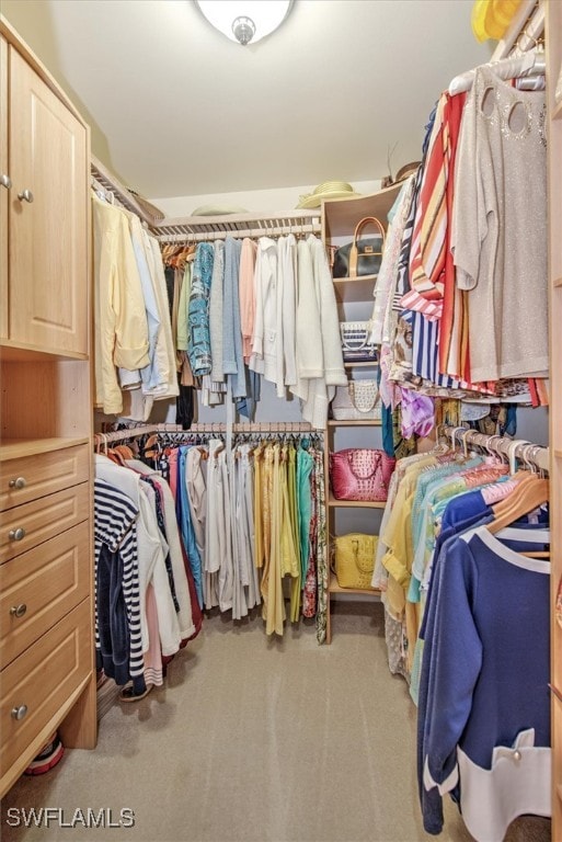 walk in closet featuring carpet flooring