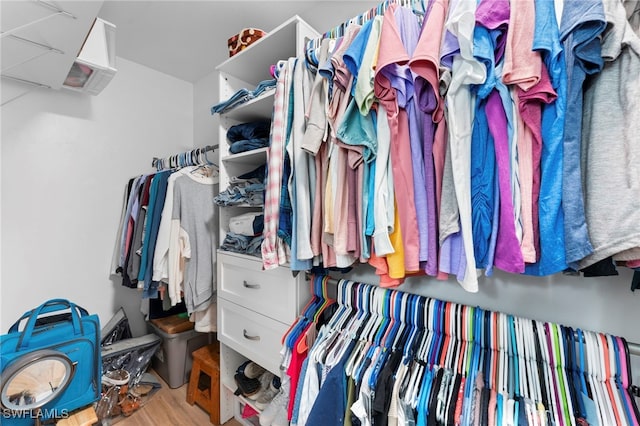 walk in closet with light hardwood / wood-style flooring