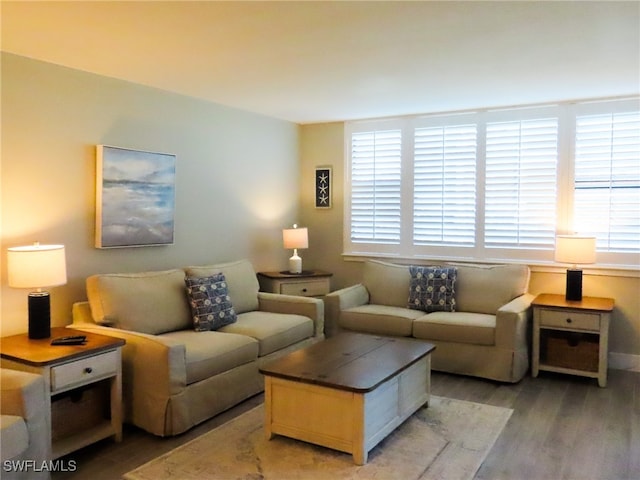 living room featuring light hardwood / wood-style floors and plenty of natural light