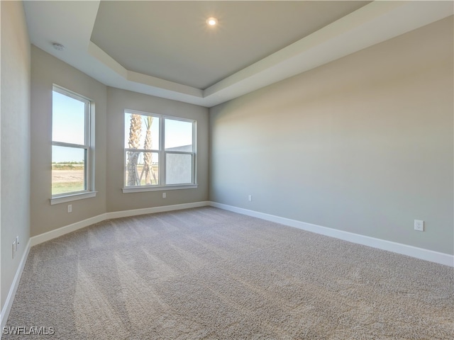 spare room featuring light colored carpet, plenty of natural light, and a tray ceiling