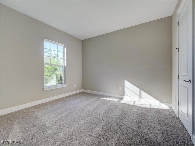 empty room featuring carpet