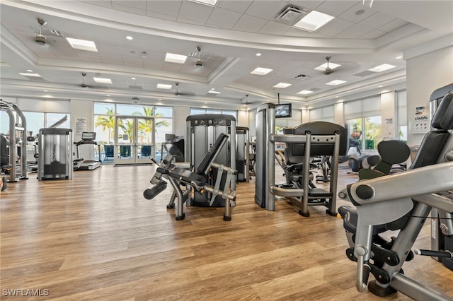 exercise room featuring plenty of natural light, a drop ceiling, and light hardwood / wood-style flooring