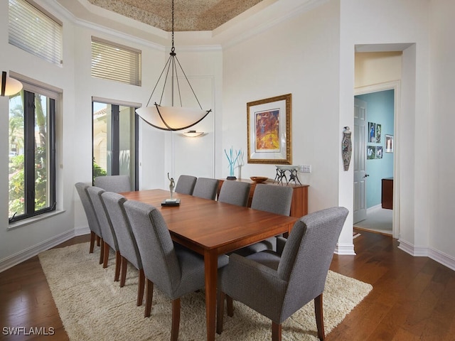 dining room featuring a healthy amount of sunlight, crown molding, and a tray ceiling