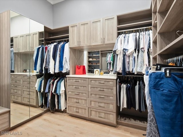 spacious closet featuring light wood-style flooring