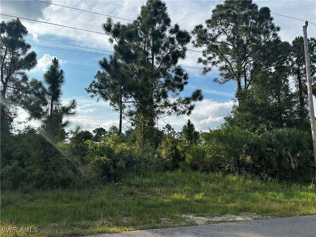 Listing photo 3 for 208 Hagan Ave S, Lehigh Acres FL 33974